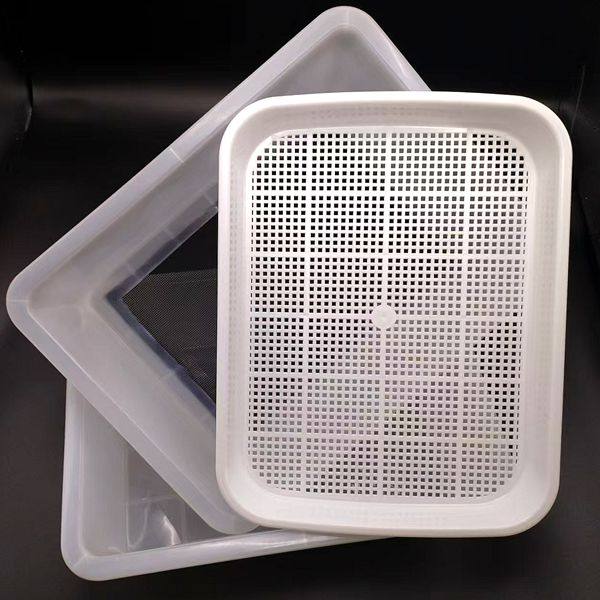 面包虫黄粉虫活虫养殖筛选粪便养殖盒大麦虫九龙虫繁殖产卵饲养箱