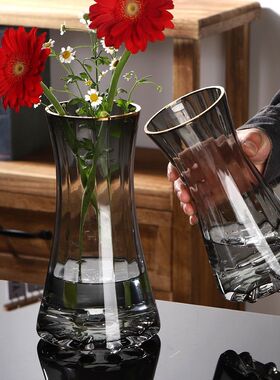 大号轻奢创意简约玻璃花瓶透明水养鲜花百合北欧网红客厅插花摆件