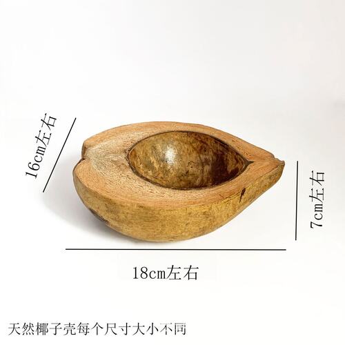 不规则加厚椰壳创意西餐厅餐具越南碟下午茶甜品位上盘子分子料理