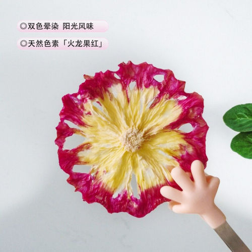 徐小豆格桑花菠萝干渐变色凤梨片太阳花烘焙装饰蛋糕点缀西餐摆盘