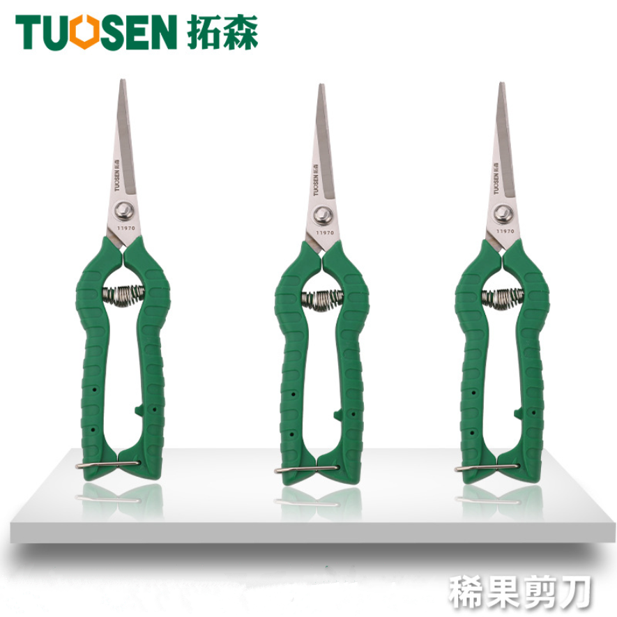 拓森园艺修枝采果芽剪刀 修花稀果摘果剪葡萄剪水果蔬 疏果剪刀