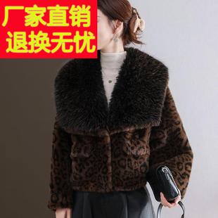 水貂绒皮草大衣外套女开衫短款狐狸毛领羊毛衫宽松大码豹纹卡腰厚