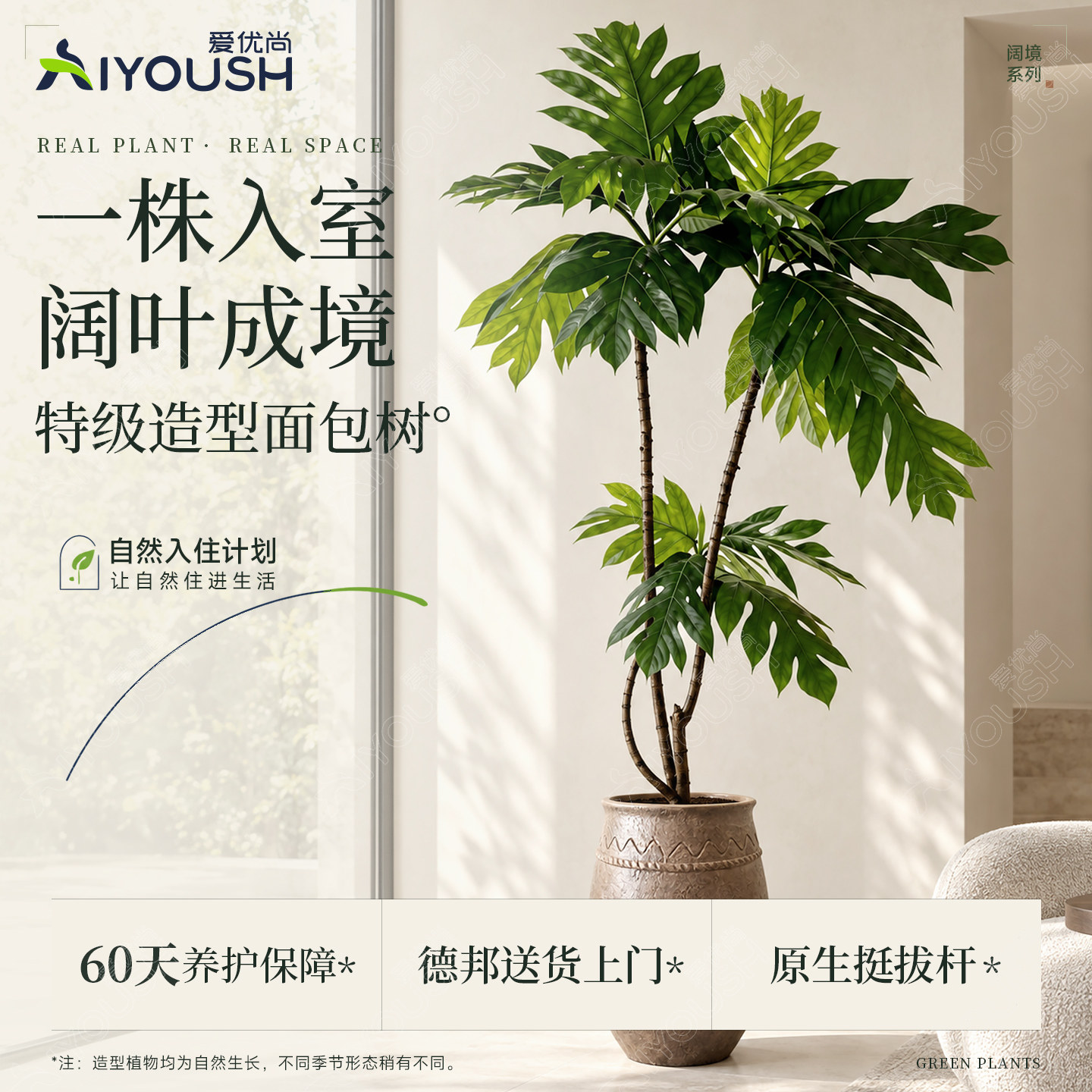 自然入住计划造型面包树网红款家居软装客厅落地室内观叶绿植盆栽