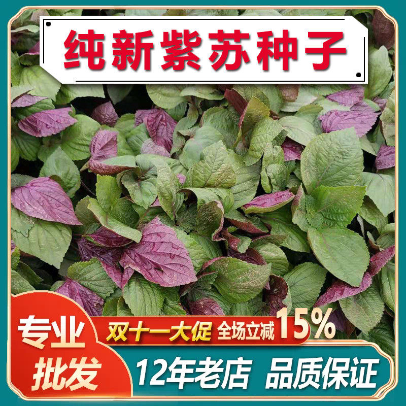 小紫苏粒 生绿苏紫苏种子苏子籽苏麻子 榨油料烧烤料月饼馅料500g