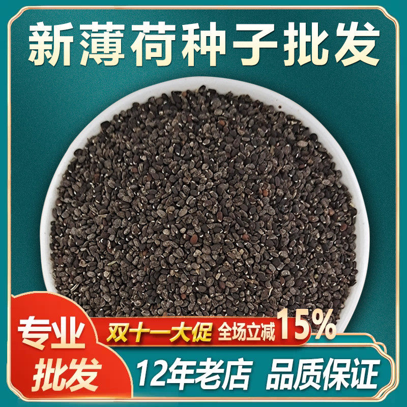 可食用薄荷种子盆栽四季驱蚊易活室内室外种子孑植物花卉花籽香草
