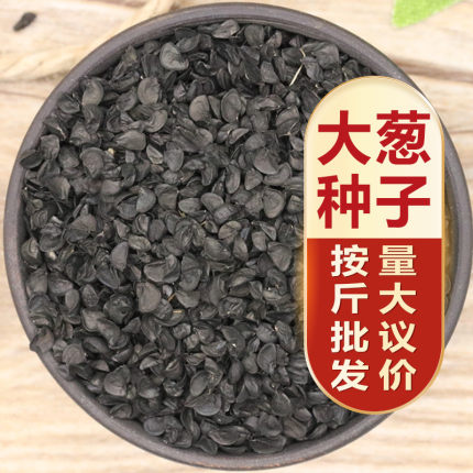 新大葱种子铁杆山东章丘大葱籽蔬菜苗种籽四季葱种甜特大孑葱籽
