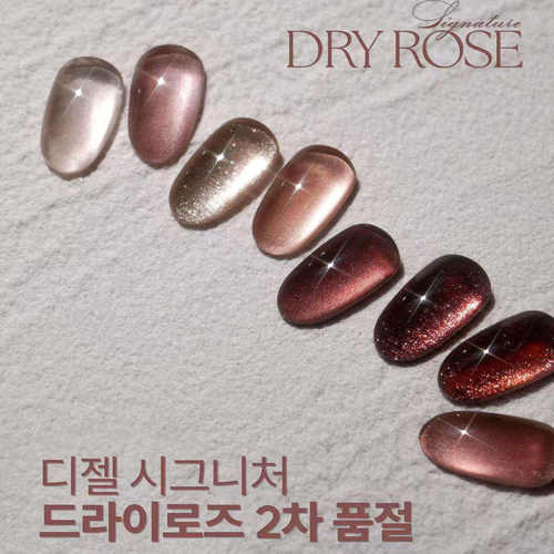 韩国DGEL 2025 秋季新色 DRY ROSE 干枯玫瑰 套系 高端甲油胶