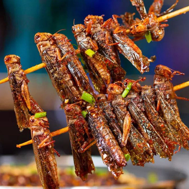 蚂蚱串  蝗虫油炸烧烤蚱蜢虫子特色美食小吃烤串20串 商用烤串
