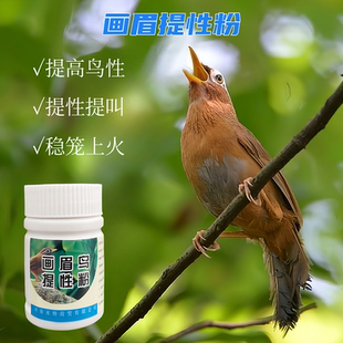 画眉鸟提兴药鸣叫药画眉生鸟提兴药稳笼药斗鸟比赛药耐力打斗力