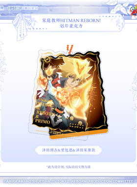 家庭教师HITMAN REBORN!划片亚克力挂件泽田纲吉 里包恩 泽田家康