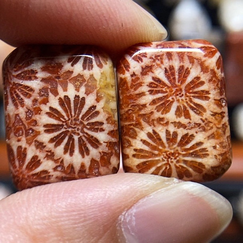 天然正品印尼菊花石珊瑚玉挂件珊瑚玉水滴无事牌吊坠一物一图多款