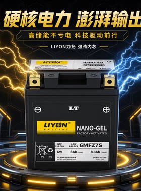 力扬摩托车电瓶钱江鸿150摩托车