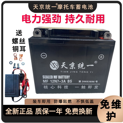 天京统一免维护摩托车干电池