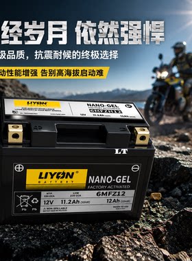 LIYON力扬电瓶适配升士150D/150M/310M踏板摩托车启动大排量电池