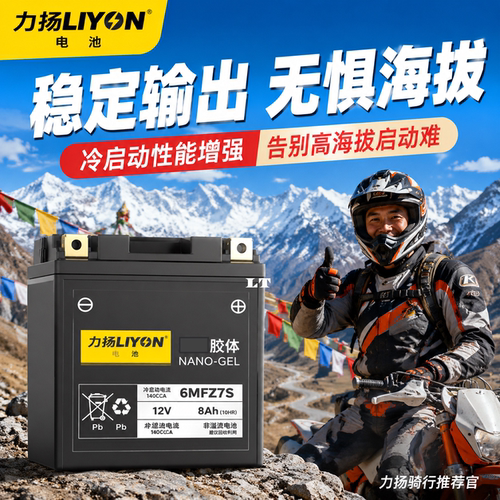 力扬摩托车电瓶CB190/PCX160专用