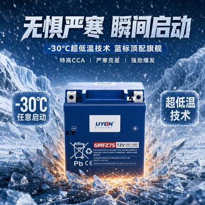 LIYON力扬踏板125摩托电池12V7A