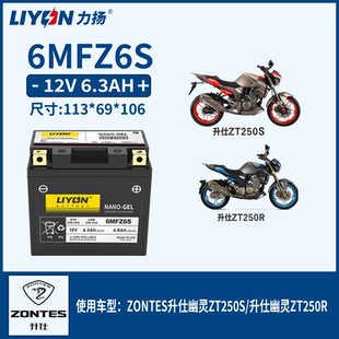 力扬ZONTES升仕ZT310-T_X_R_V 幽灵ZT250S_ZT250R 摩托车电瓶电池