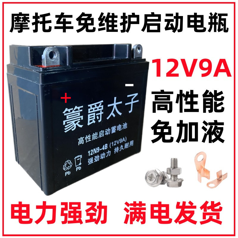 铃木王钻豹125豪爵太子银豹男士摩托车免维护蓄电池12V9A安干电瓶