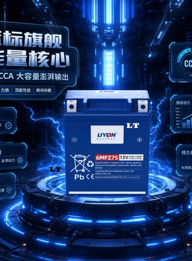 大容量LIYON力扬电瓶适配NWF125/NWX125/NWM125踏板摩托车电池12V