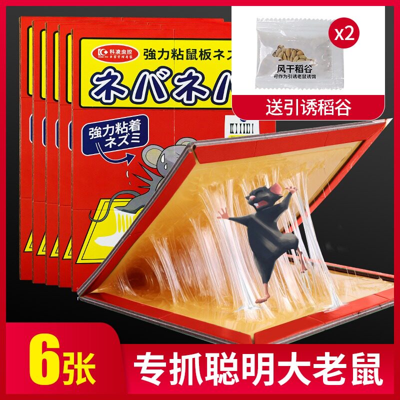 科凌虫控加大粘鼠板超强力捉大老鼠贴沾胶加厚灭鼠捕鼠神器家用
