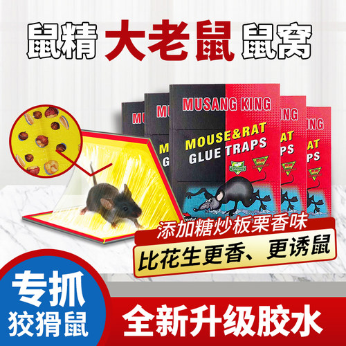 家用强力胶强力粘鼠板老鼠贴