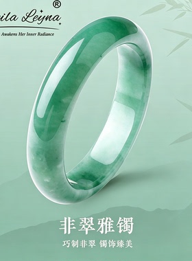 SHEILA LEYNA正品天然温润如玉非洲翠手镯石英质玉送女友长辈礼物