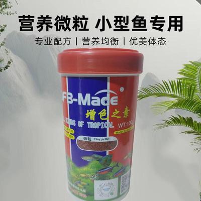 鱼缸增色孔雀鱼观赏鱼淡水