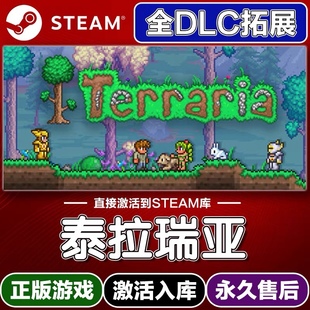 Steam正版泰拉瑞亚激活码入库cdkey电脑游戏全DLC中文在线联机玩