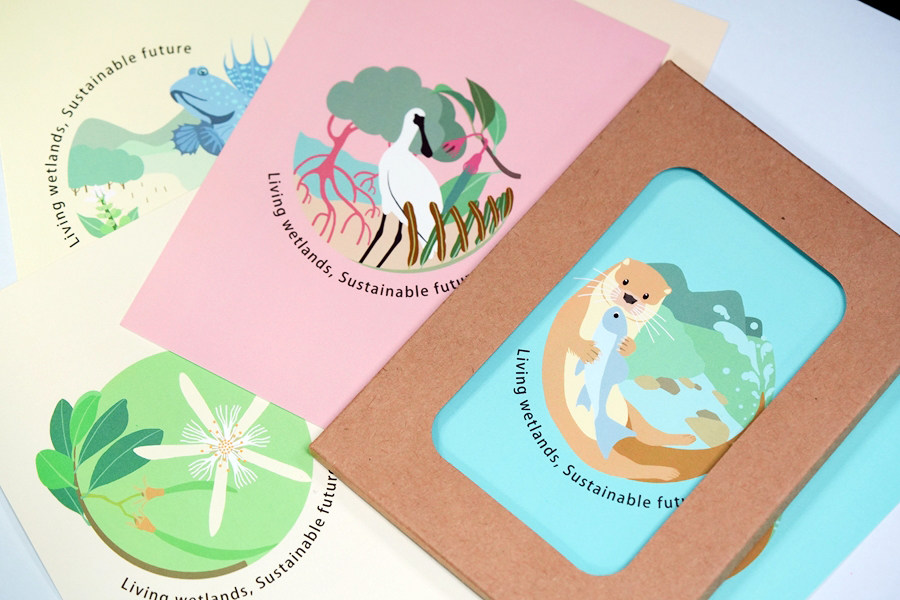 【捐赠回馈】塔塔和它的小伙伴明信片 红树林基金会