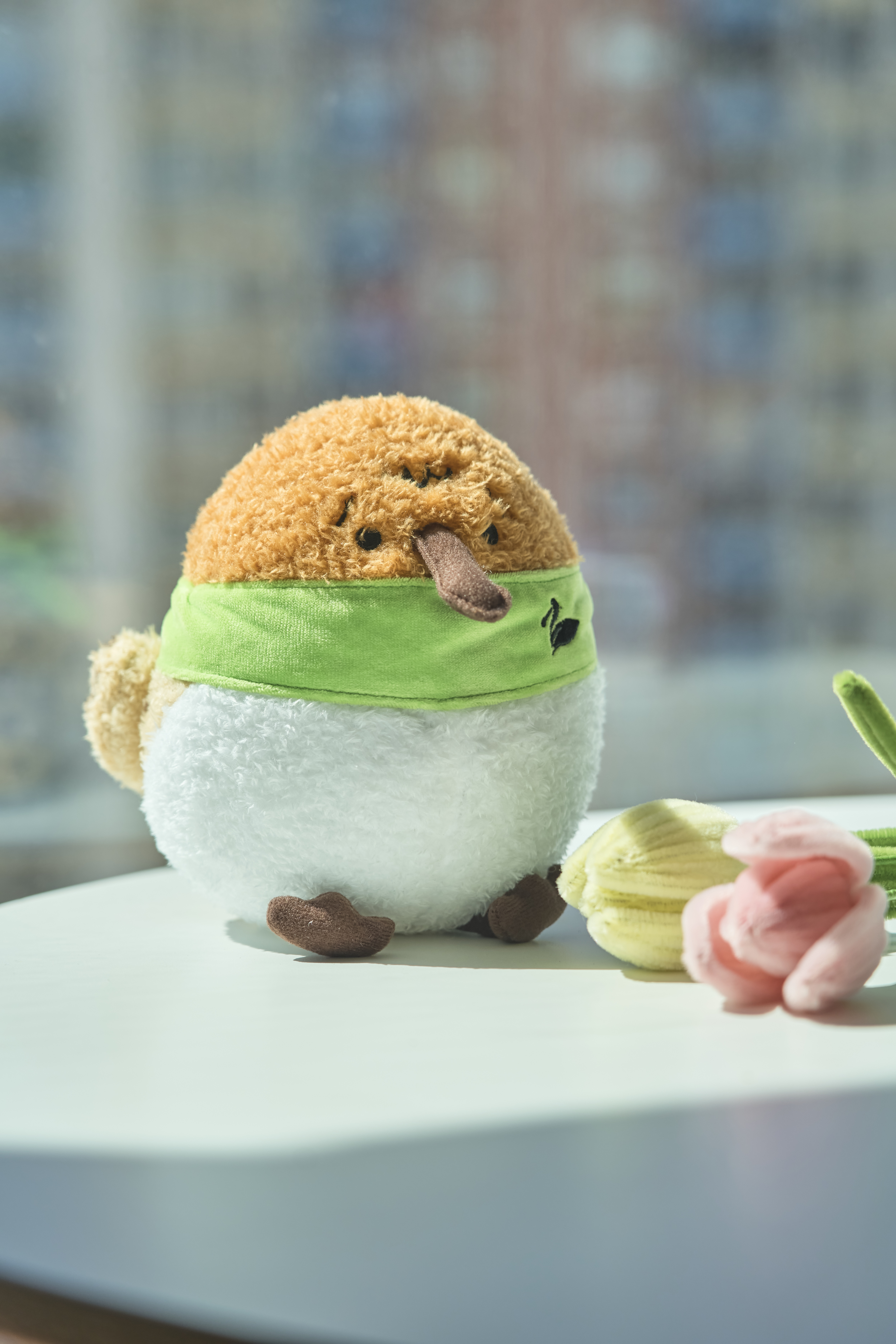 【捐赠回馈】勺嘴鹬公仔升级为2.0版本啦  和王凯一起爱护它