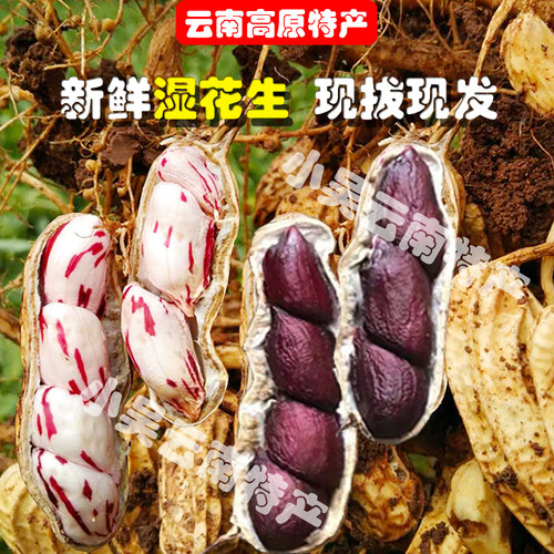 云南新鲜七彩牛奶花生现挖现发