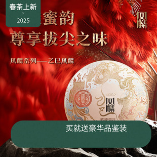 【新品现货】瑞聘号 乙巳凤麟 2025云南头春古树普洱生茶357g