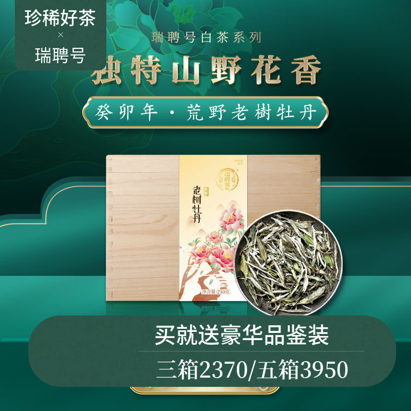 【新品】瑞聘号 2023老树牡丹 福鼎荒野老树白茶太姥山首采250g