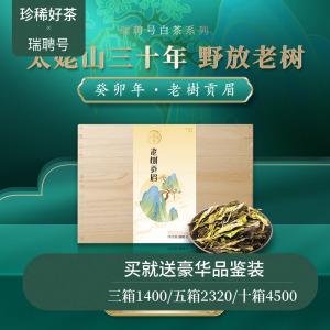 【新品】瑞聘号 2023老树贡眉 福鼎头春高山老树白茶散茶500g