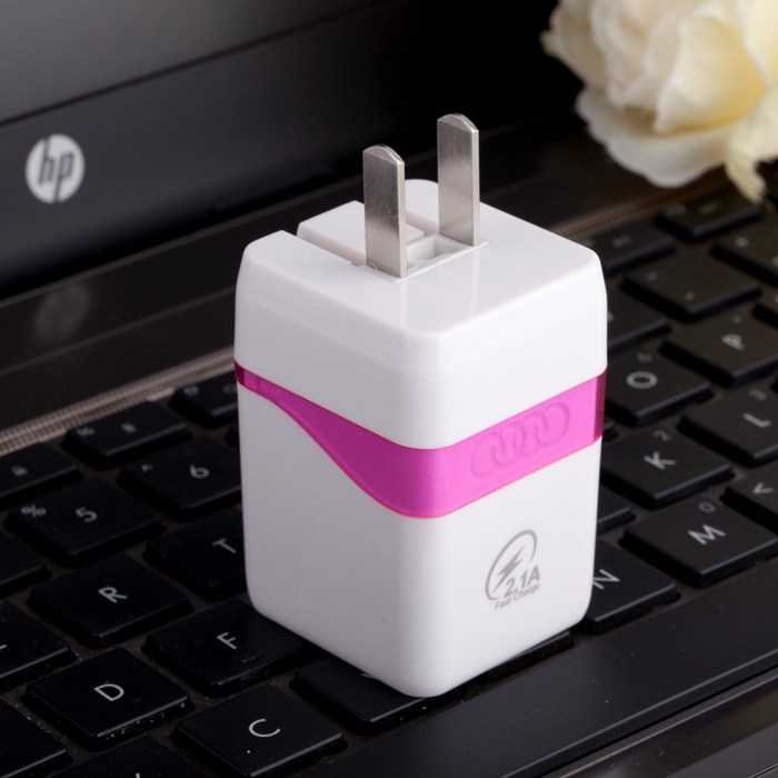 chargeur pour téléphones APPLE APPLE IPHONE5S - Ref 1301244 Image 3