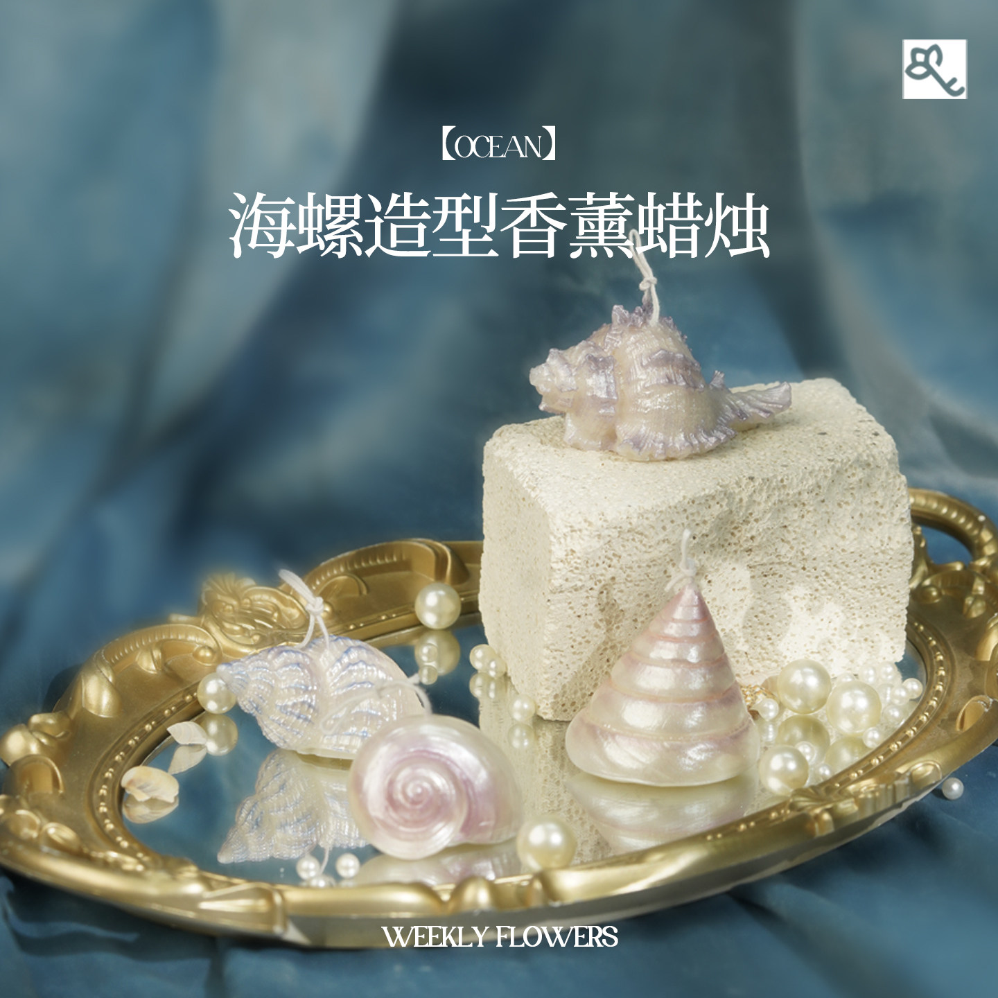 【OCEAN】海螺造型香薰蜡烛 植物蜡生日原创意手绘伴手礼闺蜜女生图片