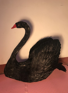 室内影视拍摄道具花艺黑色摆件