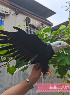 仿真羽毛老鹰模型摄影拍摄道具cos装饰鹰动物办公室桌面金雕摆件