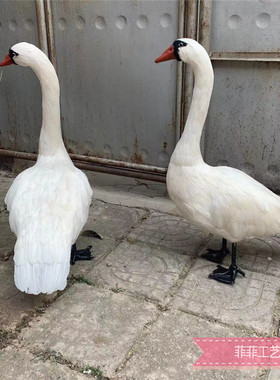 拍摄道具白天鹅婚礼泡沫家居装饰