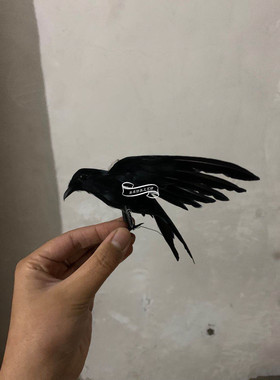 仿真万圣节鸟笼表演道具摆件乌鸦