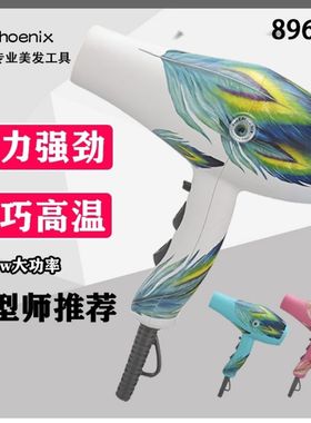 火之凤8960吹风机发廊专用大功率理发店静音2200w专业造型大风力