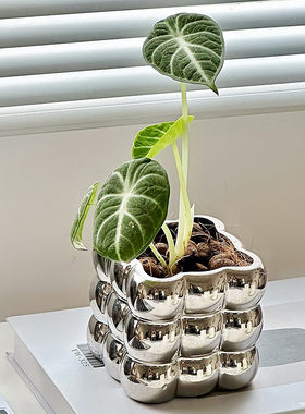 陶瓷轻奢客厅家用高档白色花卉新款好看的多肉植物艺术摆件小花盆