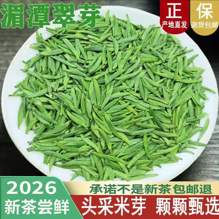 雀舌2026新茶贵州绿茶特级湄潭翠芽明前毛尖米芽芽散装竹叶茶250g