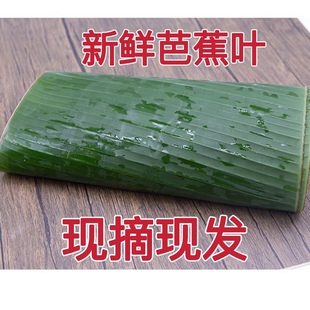 新鲜芭蕉叶广西农家野生香蕉叶做糍粑粽子糕点泰式包烧摆盘烤鸡包