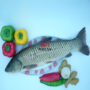 黑龙江乌苏里江抚远特产纯江新鲜草鱼青根无污染草根3件起拍