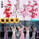 古典舞桃之夭夭灼灼其华仿真梅花枝腊梅桃花粉色春三月桃花枝道具