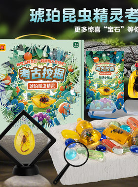 儿童考古挖掘玩具昆虫琥珀挖宝石化石幼儿园毕业小礼物小学生奖品