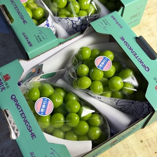 青藤社晴王 新鲜阳光玫瑰青提葡萄 整箱4串净4斤左右