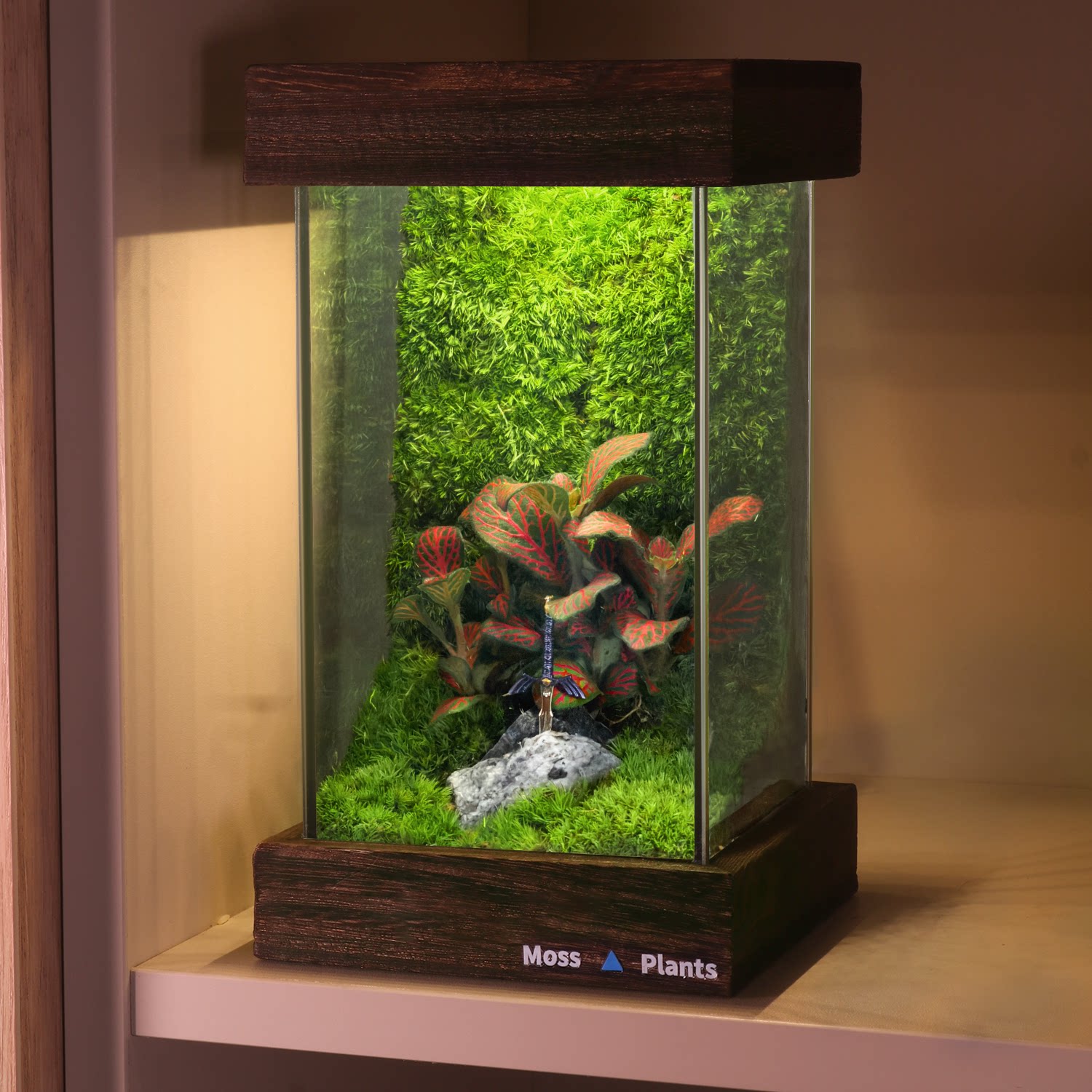 苔藓微景观生态雨林缸桌面宿舍摆件盆栽植物办公室diy生态瓶礼物