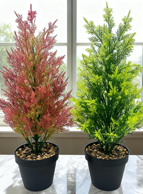松树柏树仿真绿植家居装饰品摆件